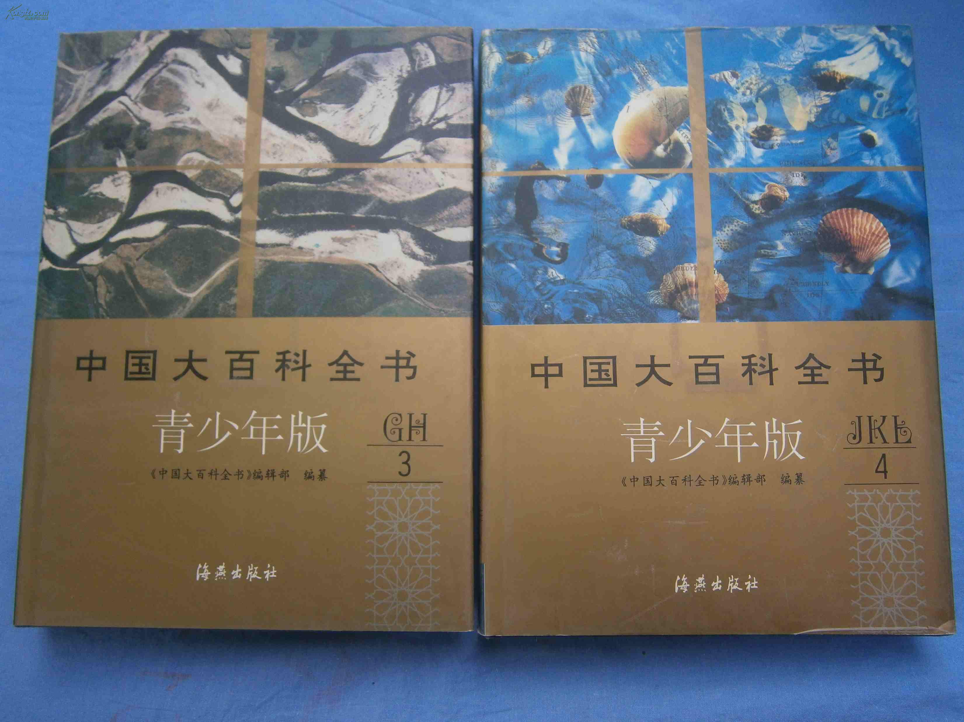 中国大百科全书(青少年版)