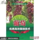 葡萄种植管理技术图书 葡萄优质高效栽培技术