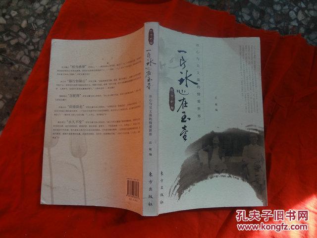 一片冰心在玉壶