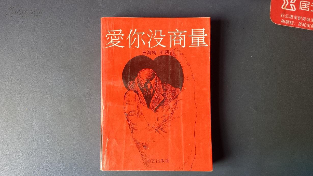 爱你没商量(王海鸰小说作品)