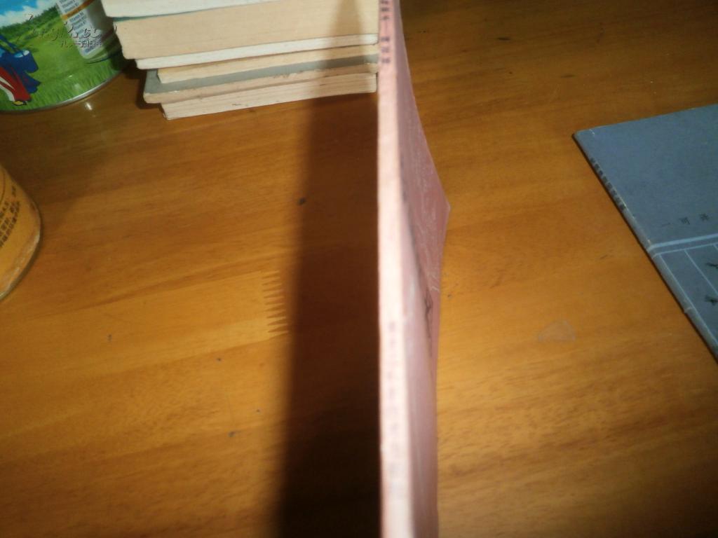 少林武术 梅花枪