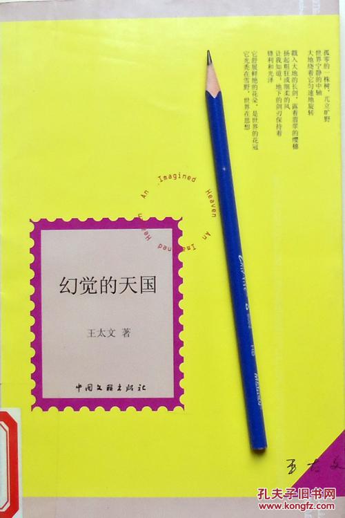 王太文《幻觉的天国》诗集，08年1版1印，馆藏正版9成新