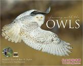 Journey With the Owl