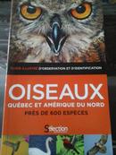 oiseaux quebec et amerique du nord 