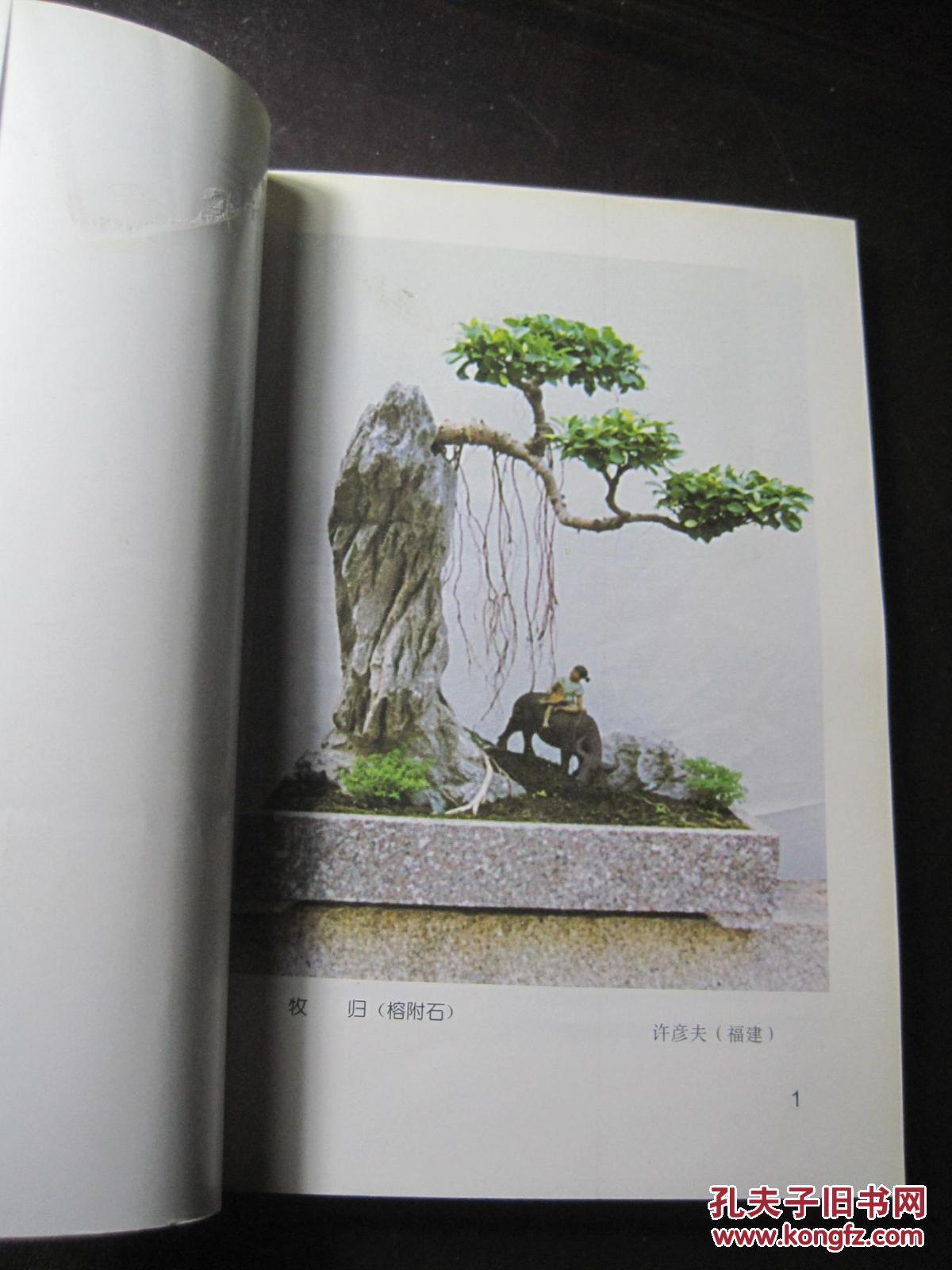 家庭自制山水盆景马文其编著