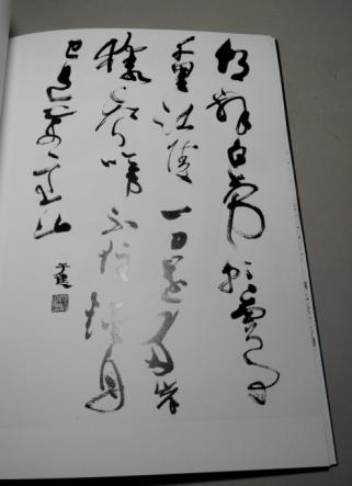 书与刻吴子建少见作品