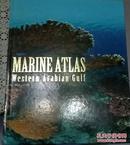 marine atlas -Western Arabian Gulf 海洋生物