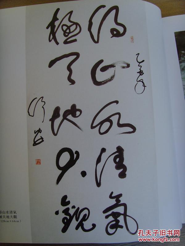 舒安:《舒安书画》(陕西省舒同书画研究院院长,舒同书法研究会会长