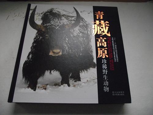 青藏高原珍稀野生动物 (精装) (中英文版) 原价1280元现价