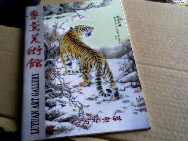 鲁鸢美术馆 宗万华专辑