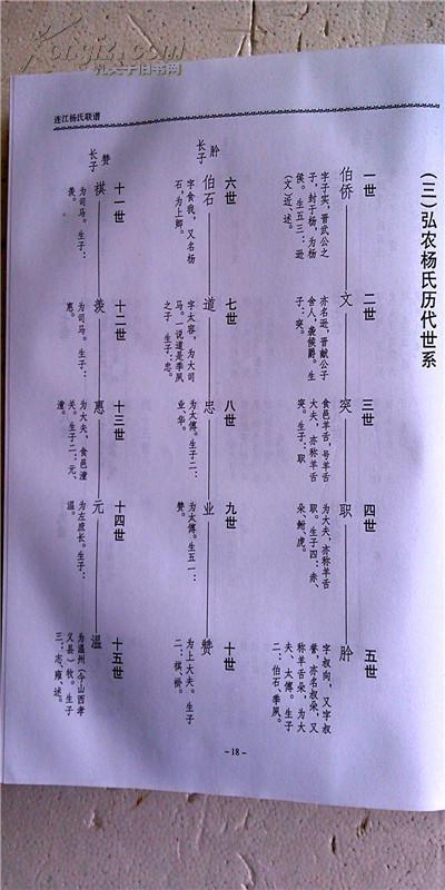 杨氏联谱福建省连江支大16开精装印800本991页2006年版售原谱