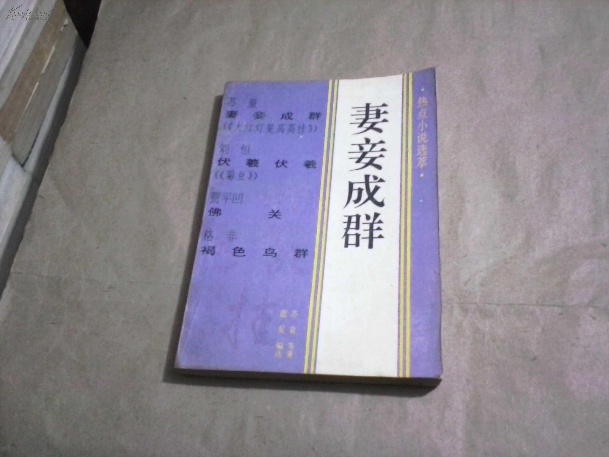 (热点小说选萃)妻妾成群(无字迹无勾划9品)_苏童 等_孔夫子旧书网