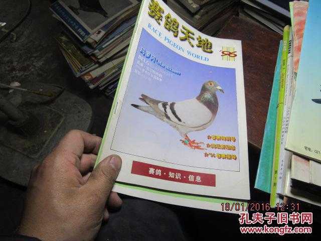 【图】赛鸽天地 1996 8816_杂志_孔夫子旧书网