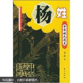 中华姓氏通史:杨姓