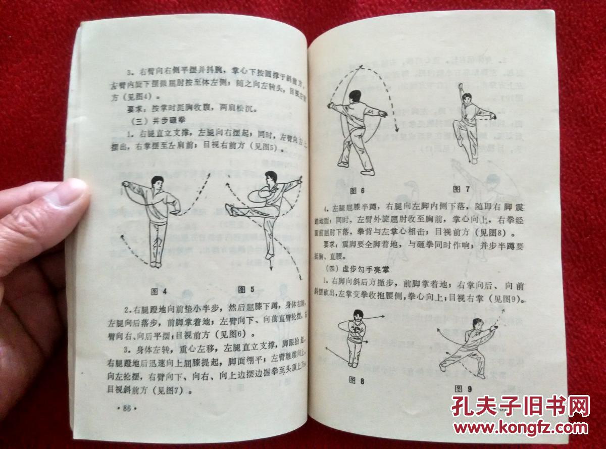 长穗剑梅花拳当代中华武术冠军李霞拿手套路选正版原版一版一印