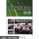 养猪书 猪病防治书 绿色养殖新技术丛书：高效益养猪技术问答
