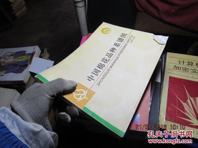 中国棉花品种系谱图 8823