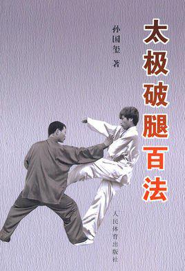 太极破腿百法(陈式洪派太极拳第三代传人孙国玺)