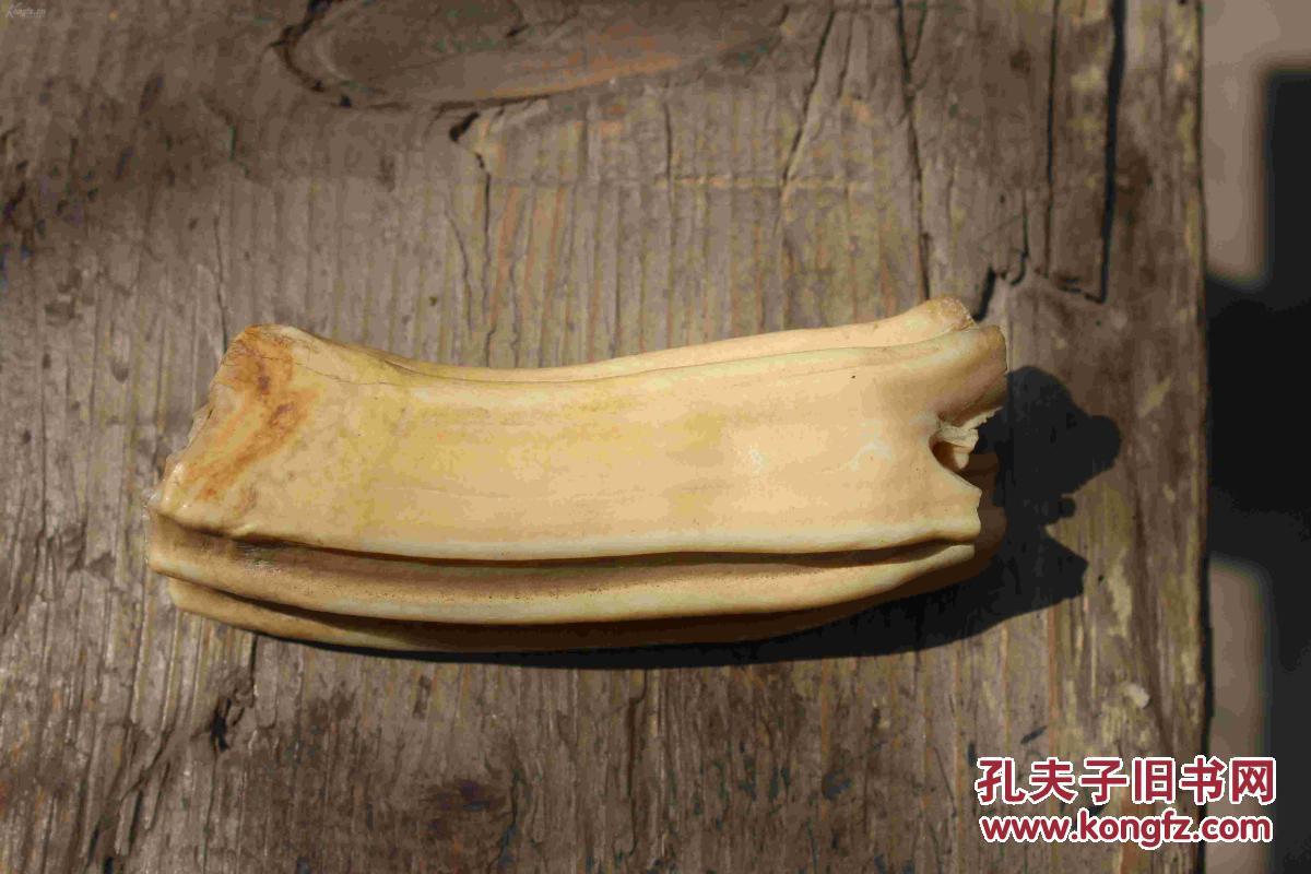 史前巨龙牙化石3保真保老喜欢玩骨头牙的看过来只有几块多年旧藏的市
