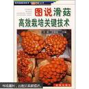 滑子菇种植技术教学图书 图说滑菇高效栽培关键技术