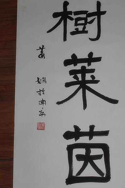 当代最为著名的女书法家 江苏省书协人物 【【萧娴】】对联 精妙(图4)