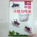 中国斗蟋与鸣虫 （附：蟋蟀上品荟萃、养虫具等92幅彩图）/。///，