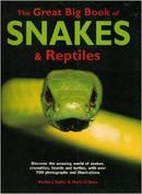 Great Big Book Snakes & Reptiles