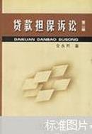 贷款担保诉讼 第二版