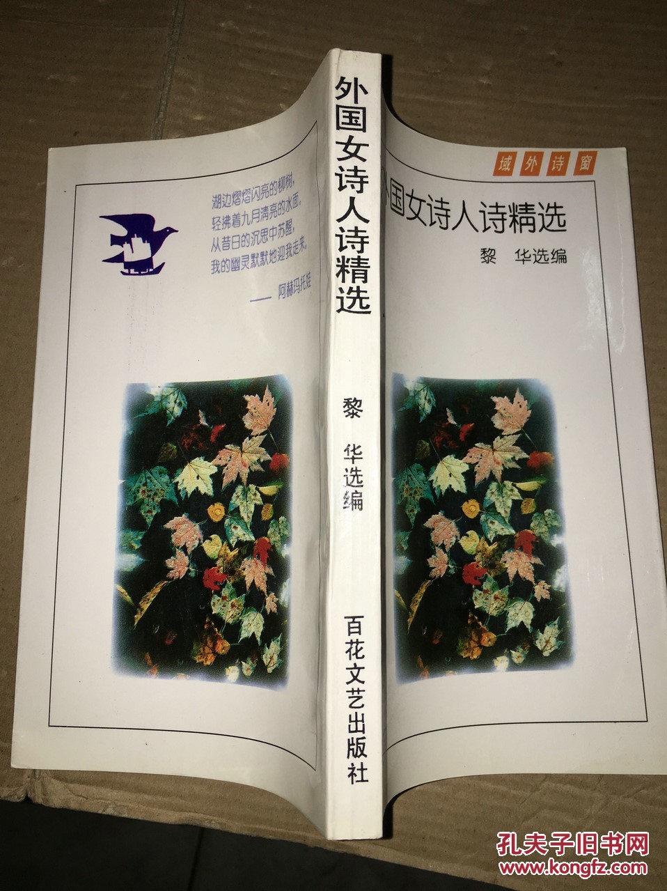 x48 外国女诗人诗精选(域外诗窗)