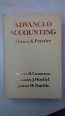 [英文原版]Advanced Accounting：Theory and Practice 高級會計學：理論和實踐（精裝）
