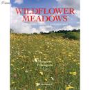 Wildflower Meadows: Survivors from a Golden Age [平装]