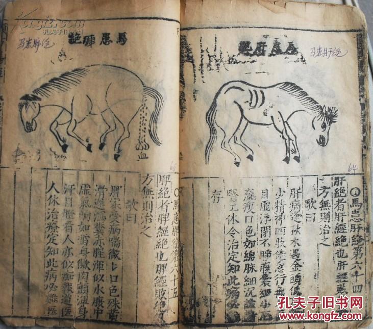 失传珍本(新刊校正纂图类方马经)两卷