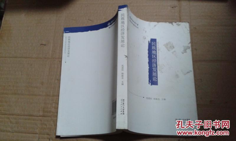 民族地區經濟發展論（一版一印 內部九五品）