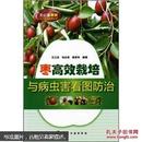 棗高效栽培與病蟲害看圖防治