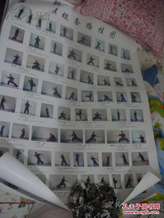 (南派)猴拳猴棍套路大型2张挂图 (每张大型挂图宽约84厘米 长约108