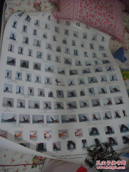 (南派)猴拳猴棍套路大型2张挂图 (每张大型挂图宽约84厘米 长约108