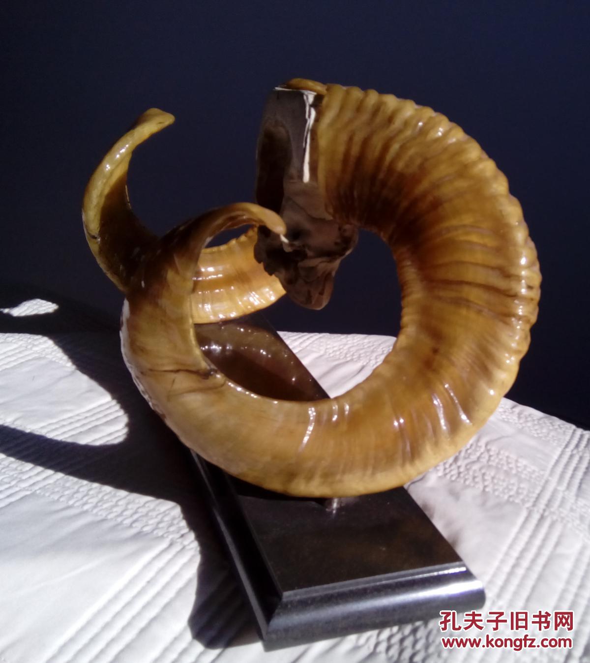 天然绵羊角摆件角架(配墨玉大理石座)境内包邮