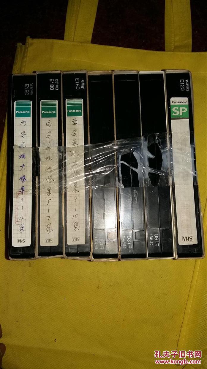 西安画坛大惨案录影带