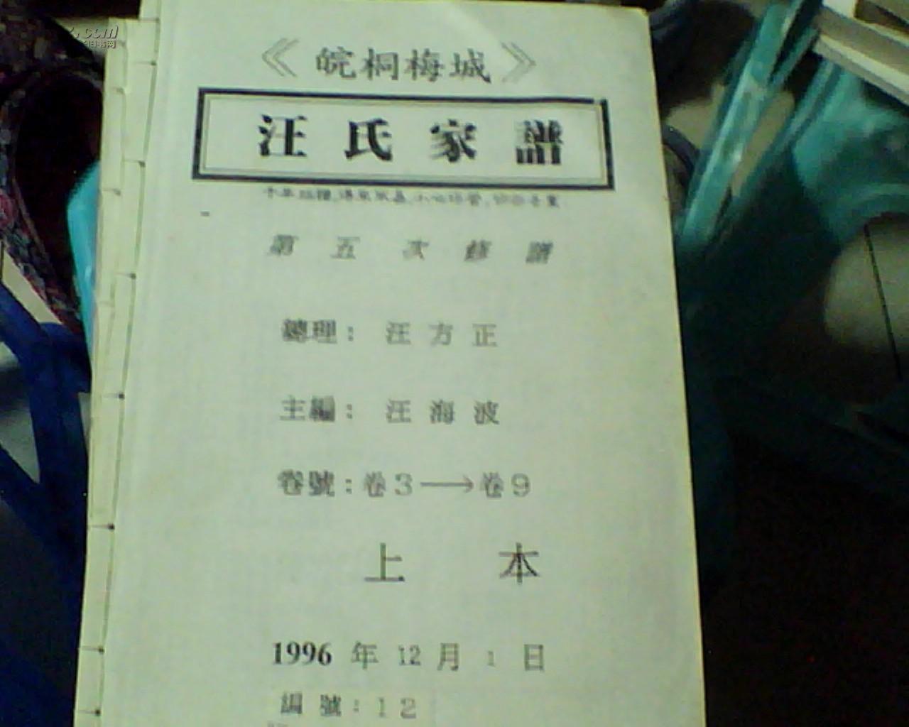 皖桐梅城汪氏家谱 复印本