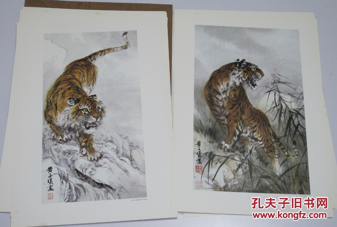 猛虎百态 黄子曦绘画展 散页 活页11张 函套