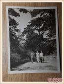 黑白老照片：三位女生在公园留影