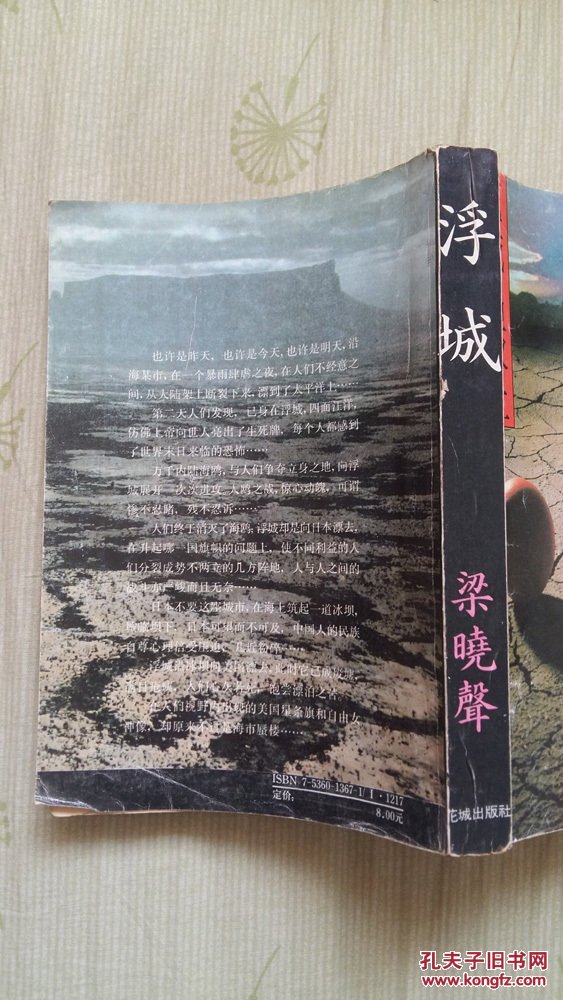 浮城(梁晓声著,1992年1版1印)