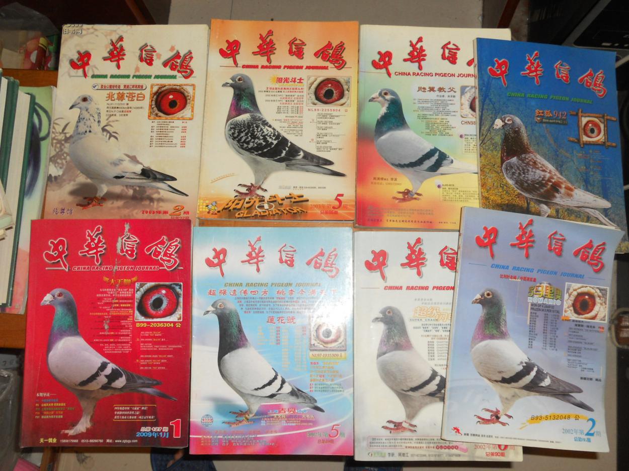 【图】中华信鸽 15本 【见描述】_中华信鸽杂志社_孔夫子旧书网