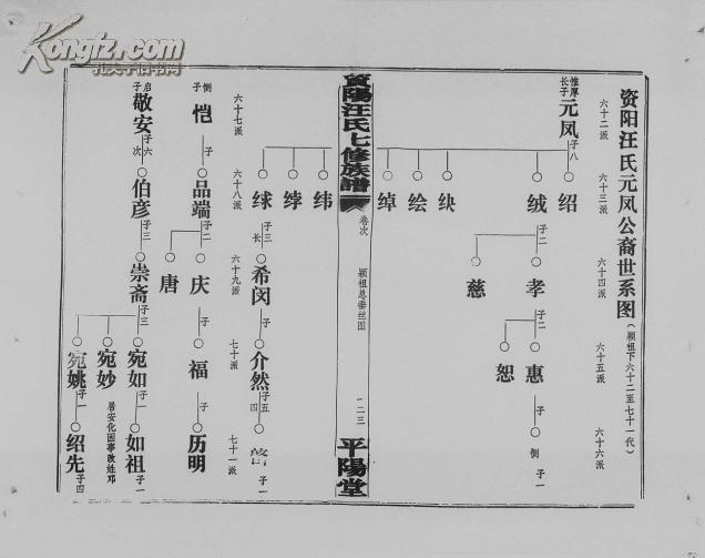 复印件汪氏族谱资阳汪氏族谱平阳堂如祖排行伏九二十卷16开2200页2003