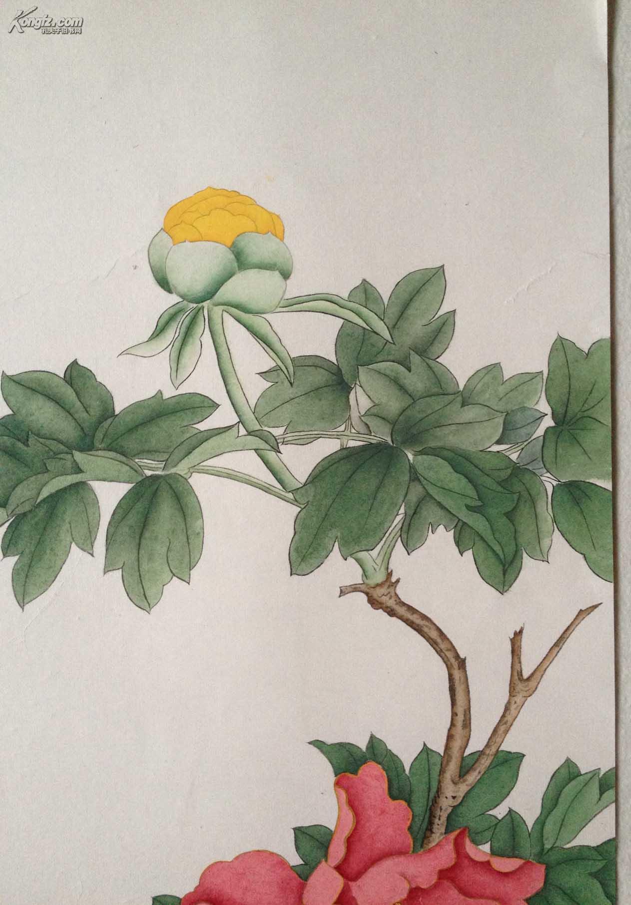 于非闇工笔牡丹富贵图(包手绘)!