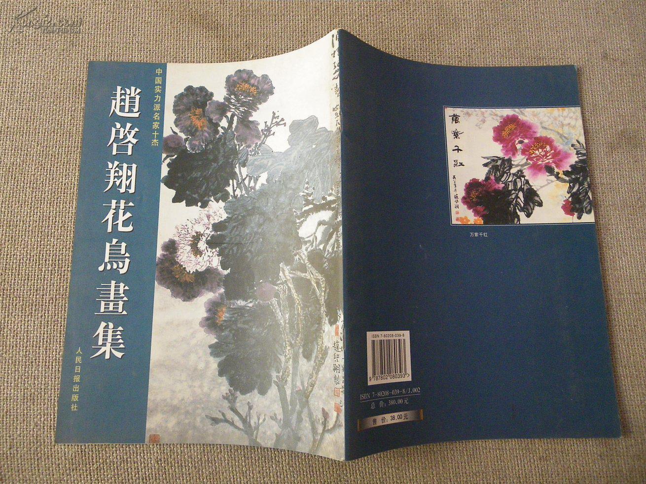 中国实力派名家十杰:赵启翔花鸟画集