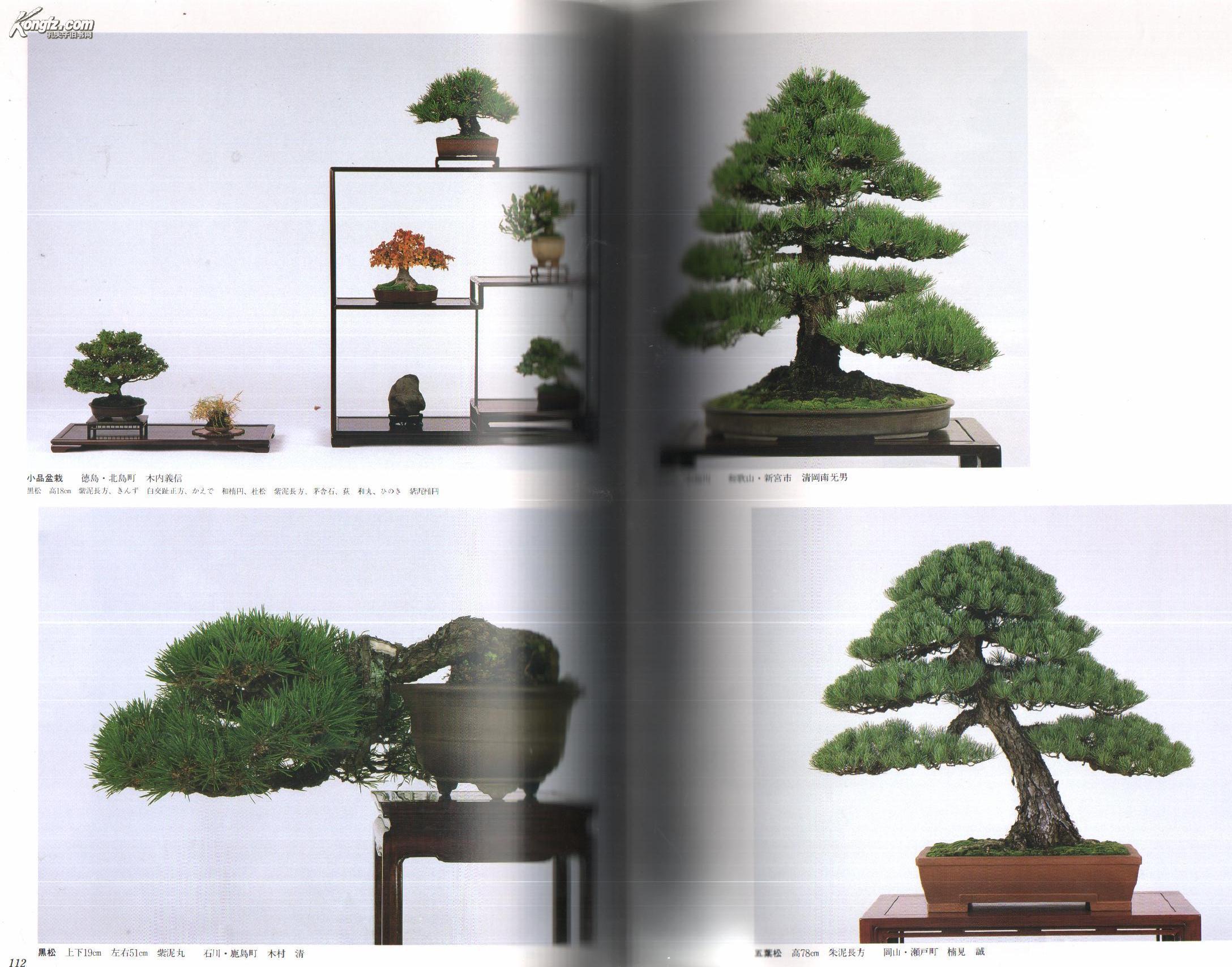 现货杭州 日本盆栽大观展第15回精装本 图片多 印刷精美 孔夫子旧书网