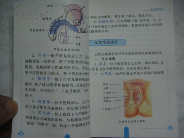 青少年性教育试用教材《花季知己》