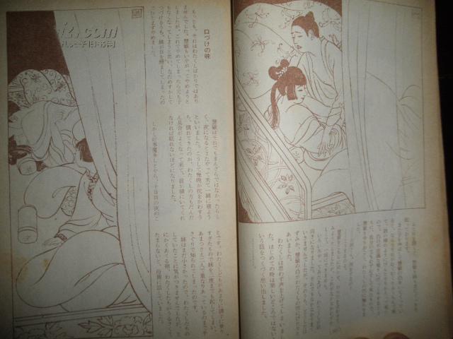 【孔网孤本】民国风月图文小说《好色福祸痴谈》