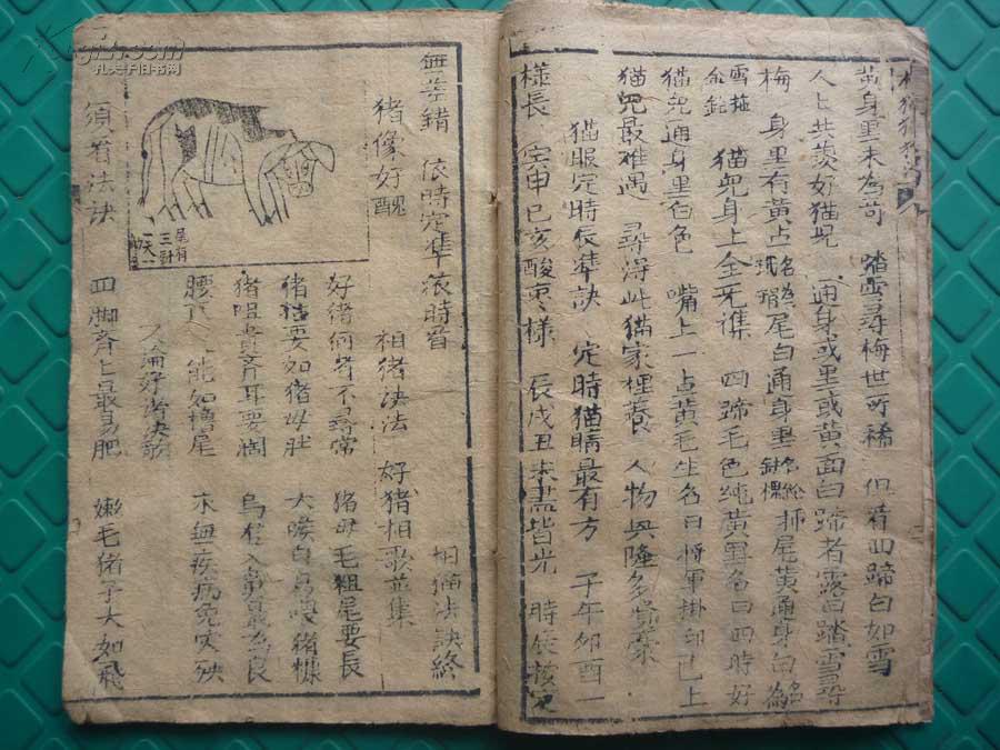 《相猫猪狗法诀》*原装全1册*稀见!